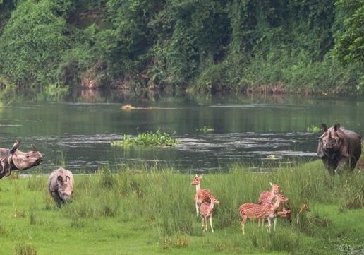 Highlights of Nepal Tour